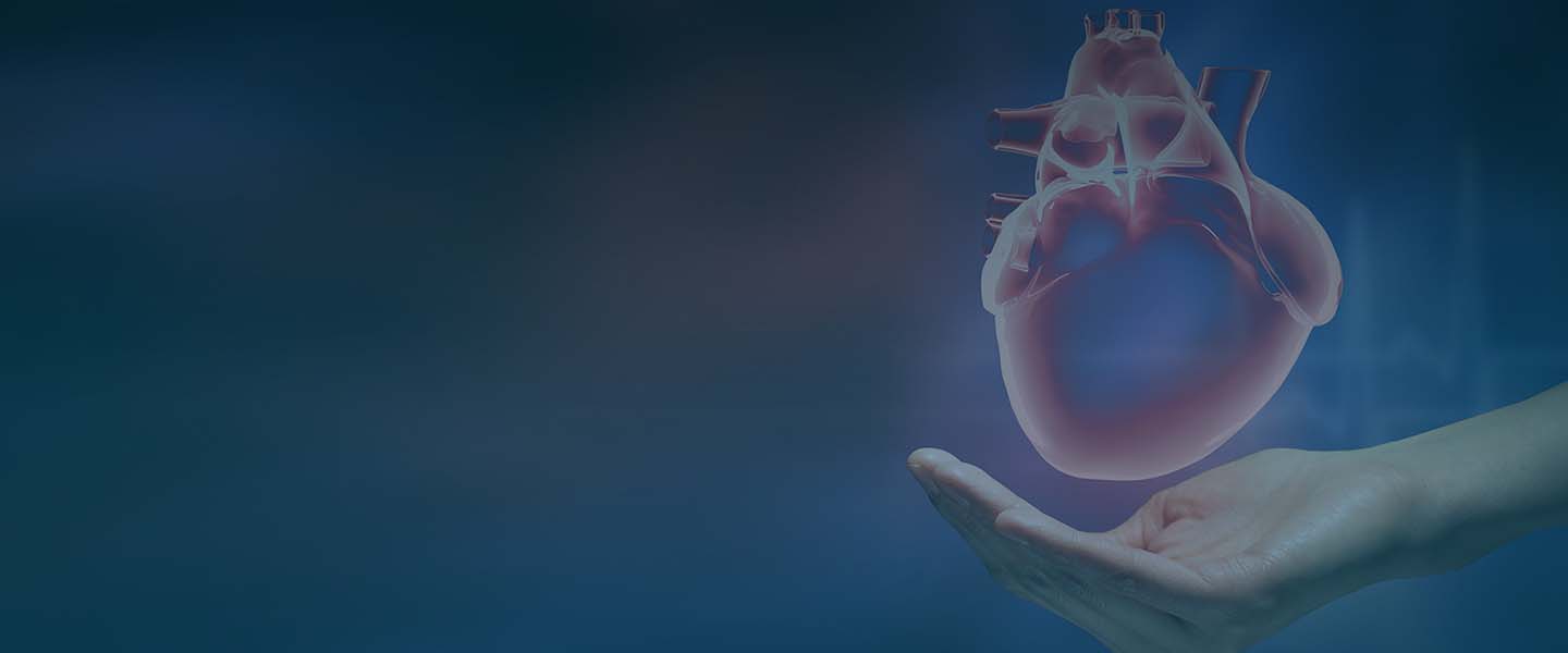 изображение сердца человека